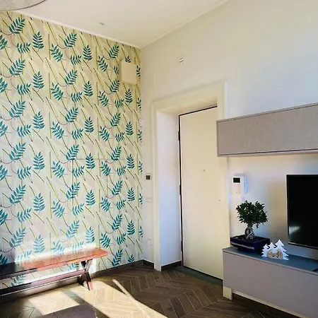 Alocasia Luxury * Salerno