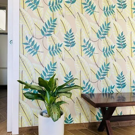 Alocasia Luxury Lejlighed *