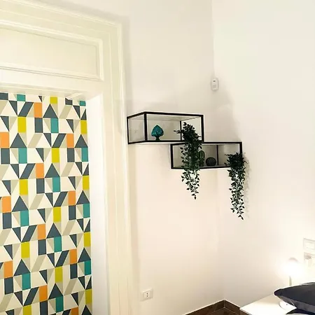 Alocasia Luxury Salerno