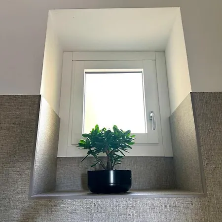 Apartment Alocasia Luxury